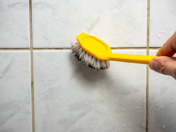 Best Localized Mold Remediation (e.g., coastal areas, humid climates) in North Sarasota, FL