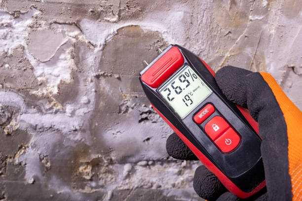 Best Emergency Mold Remediation in North Sarasota, FL
